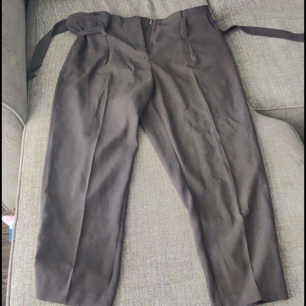 Dress pants